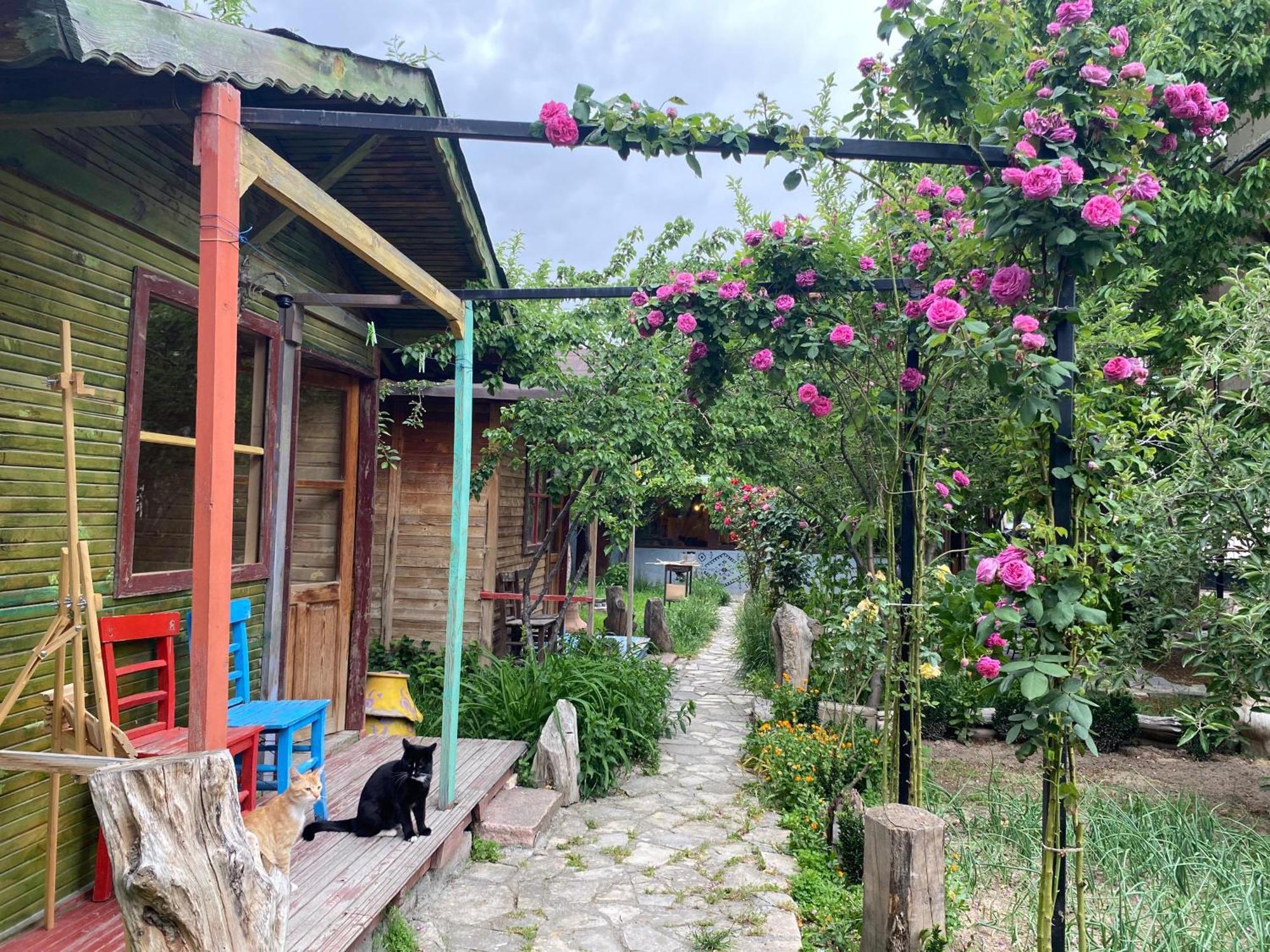 Philosophy Hotel Üçhisar Quarto foto